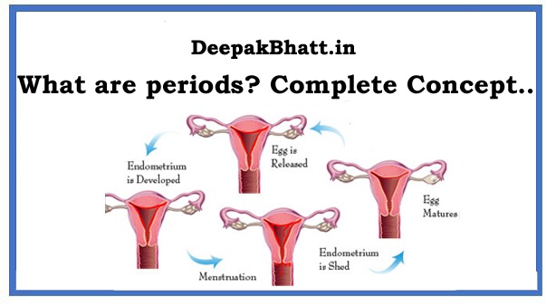 What Are Periods Complete Concept A To Z In 2024